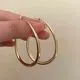 Wholesale Geometric oval high-end cool style earrings