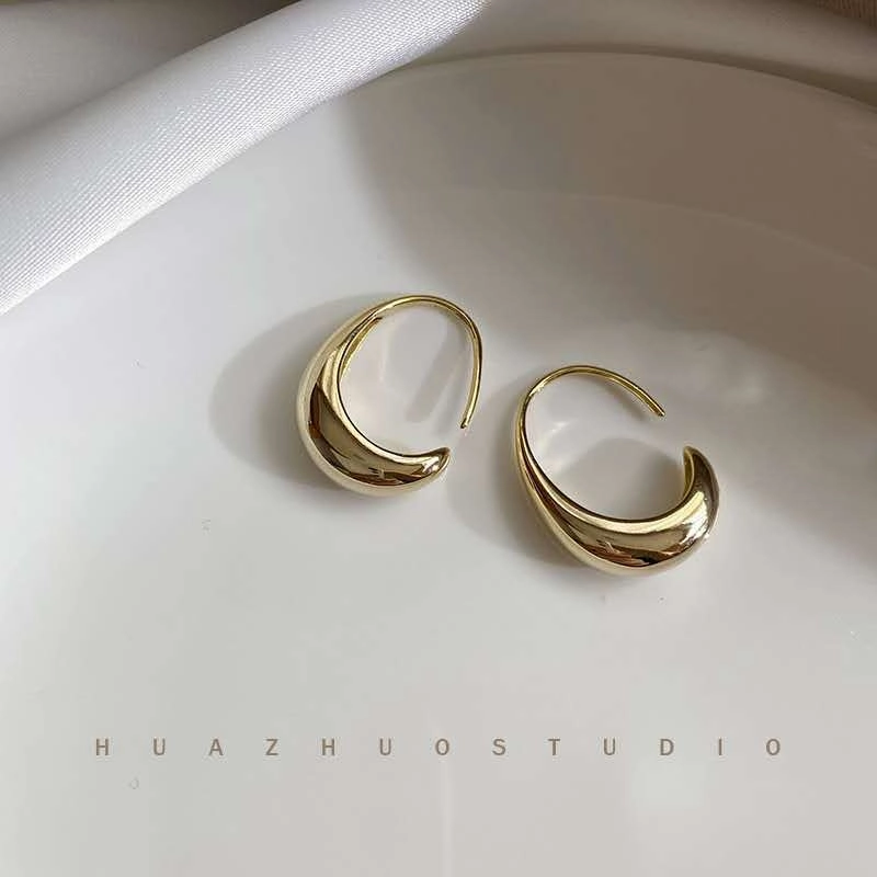 Wholesale Personalized simple glossy cold style ear ring South Korea elegant Net red style fashionable light luxury design small earrings for women